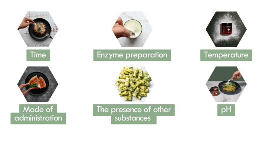 Factors that influence enzyme activity