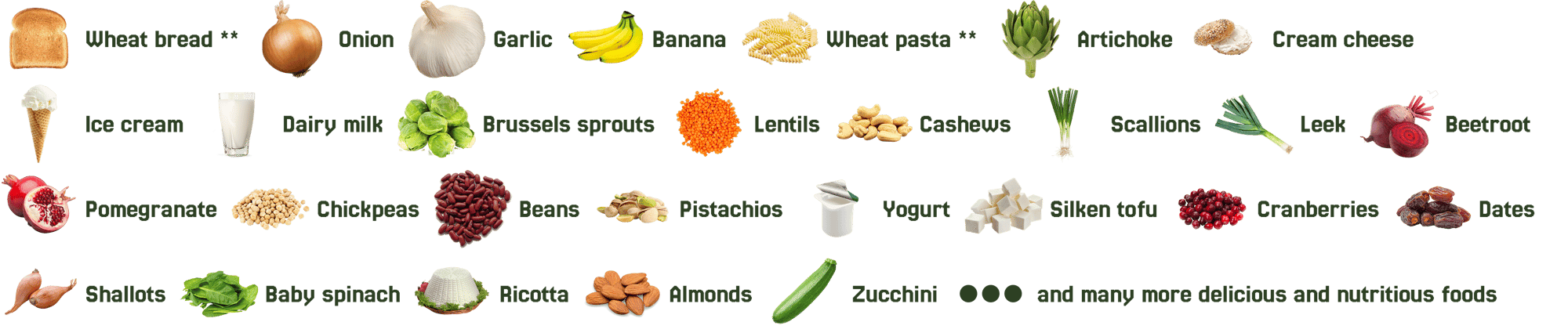 Foods to enjoy with FODZYME