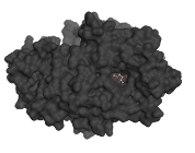 Rectangle 23 (1)